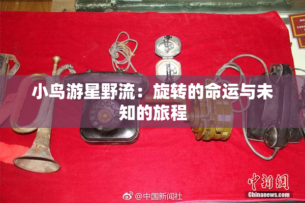 小鸟游星野流：旋转的命运与未知的旅程