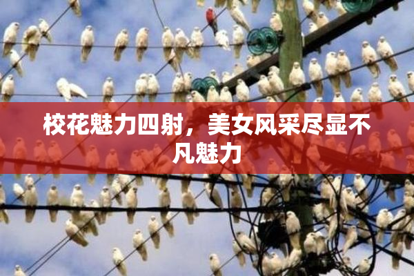 校花魅力四射，美女风采尽显不凡魅力