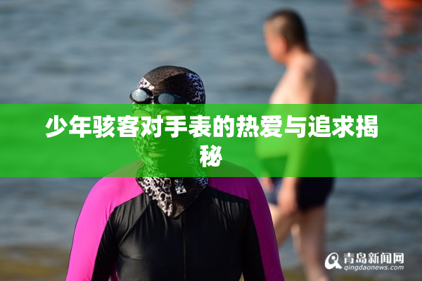少年骇客对手表的热爱与追求揭秘