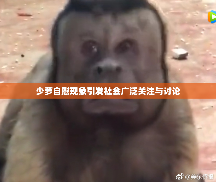 少萝自慰现象引发社会广泛关注与讨论