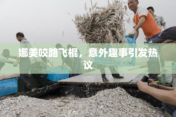 娜美咬路飞棍，意外趣事引发热议