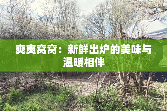 爽爽窝窝：新鲜出炉的美味与温暖相伴