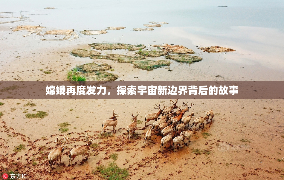 嫦娥再度发力，探索宇宙新边界背后的故事