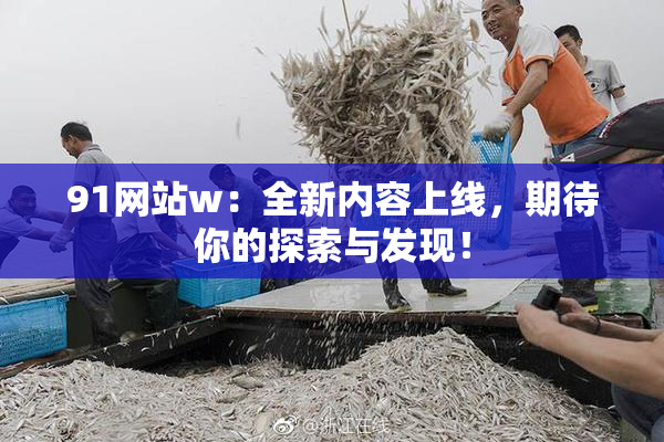 91网站w：全新内容上线，期待你的探索与发现！