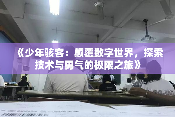 《少年骇客：颠覆数字世界，探索技术与勇气的极限之旅》