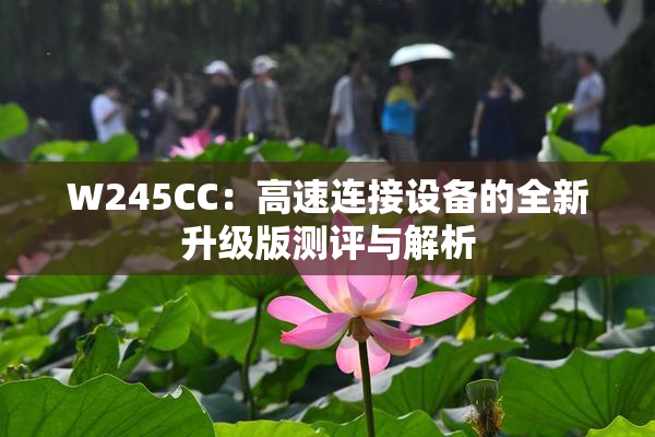 W245CC：高速连接设备的全新升级版测评与解析