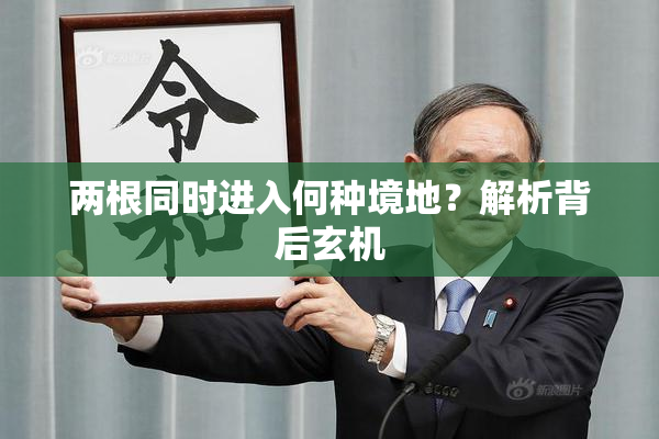 两根同时进入何种境地？解析背后玄机