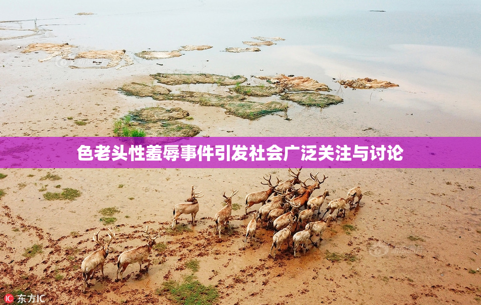 色老头性羞辱事件引发社会广泛关注与讨论