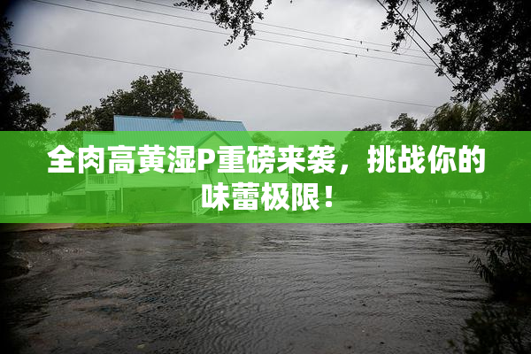 全肉高黄湿P重磅来袭，挑战你的味蕾极限！