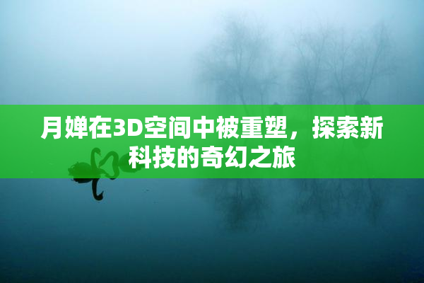 月婵在3D空间中被重塑，探索新科技的奇幻之旅