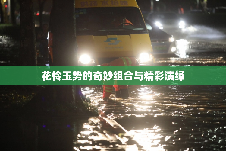 花怜玉势的奇妙组合与精彩演绎