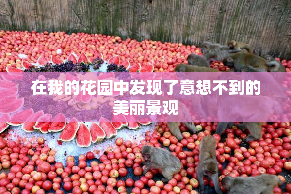 在我的花园中发现了意想不到的美丽景观