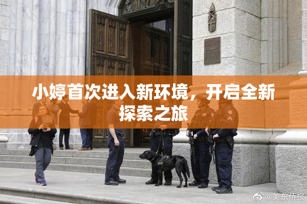 小婷首次进入新环境，开启全新探索之旅