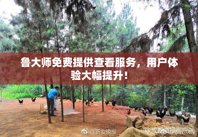 鲁大师免费提供查看服务，用户体验大幅提升！