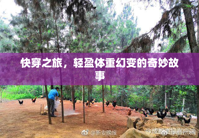 快穿之旅，轻盈体重幻变的奇妙故事