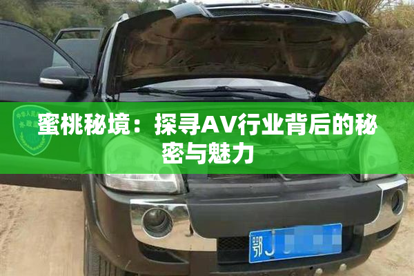 蜜桃秘境：探寻AV行业背后的秘密与魅力