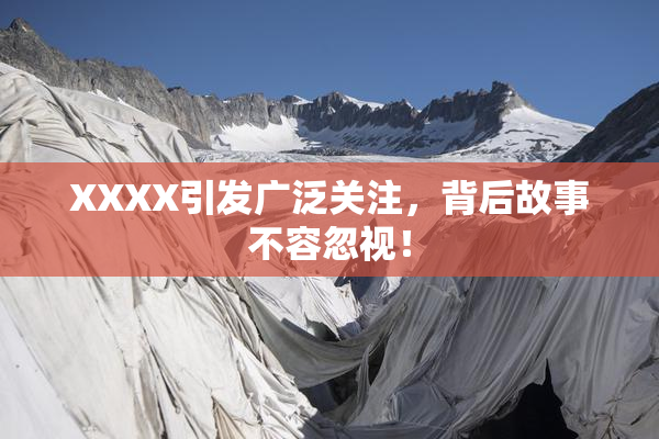 XXXX引发广泛关注，背后故事不容忽视！