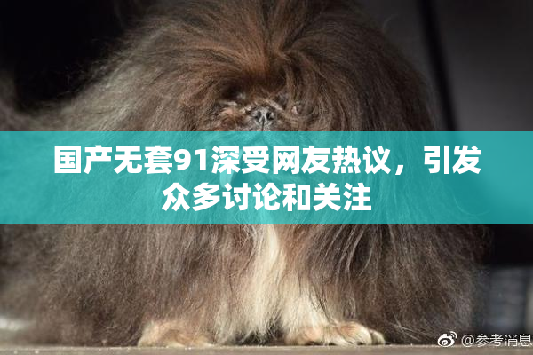 国产无套91深受网友热议，引发众多讨论和关注