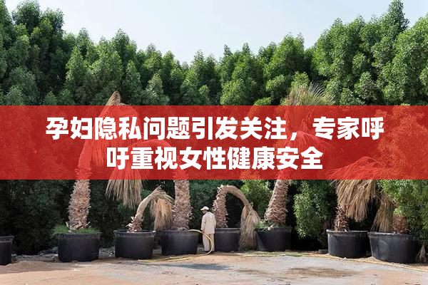 孕妇隐私问题引发关注，专家呼吁重视女性健康安全
