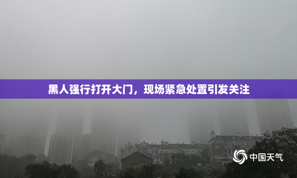 黑人强行打开大门，现场紧急处置引发关注