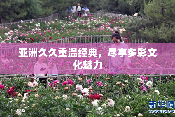 亚洲久久重温经典，尽享多彩文化魅力