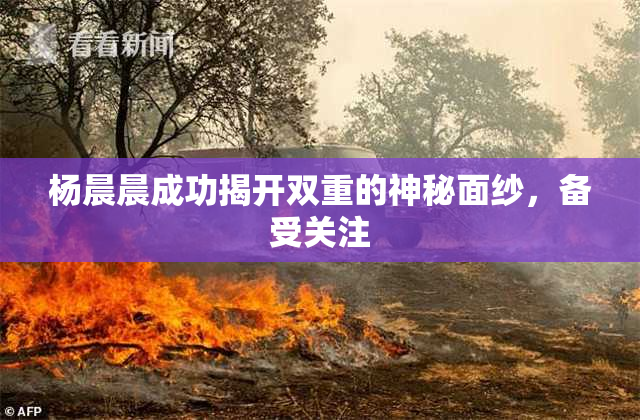 杨晨晨成功揭开双重的神秘面纱，备受关注