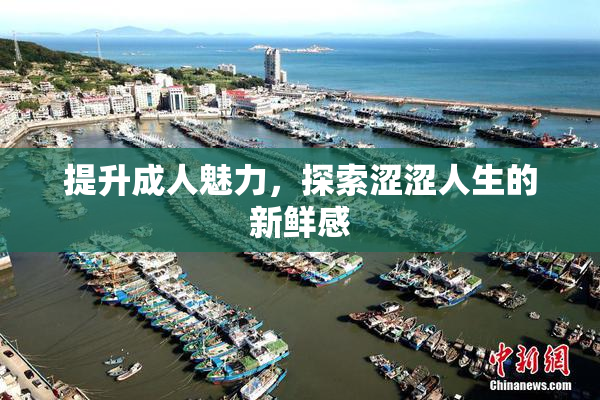 提升成人魅力，探索涩涩人生的新鲜感