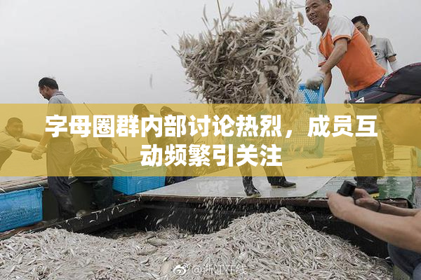字母圈群内部讨论热烈，成员互动频繁引关注