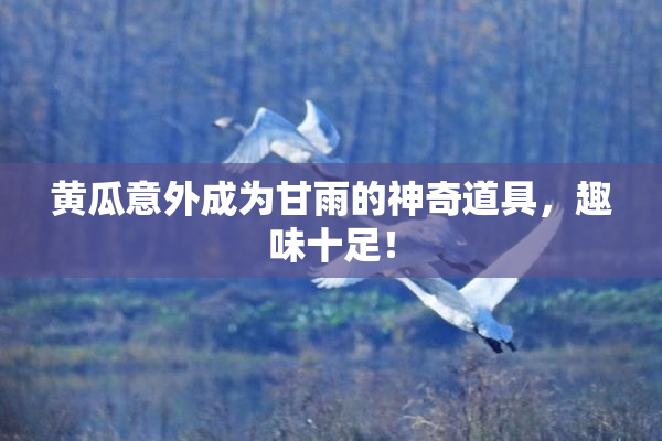 黄瓜意外成为甘雨的神奇道具，趣味十足！