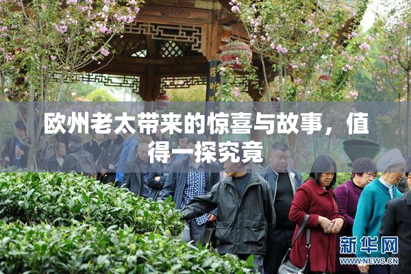 欧州老太带来的惊喜与故事，值得一探究竟
