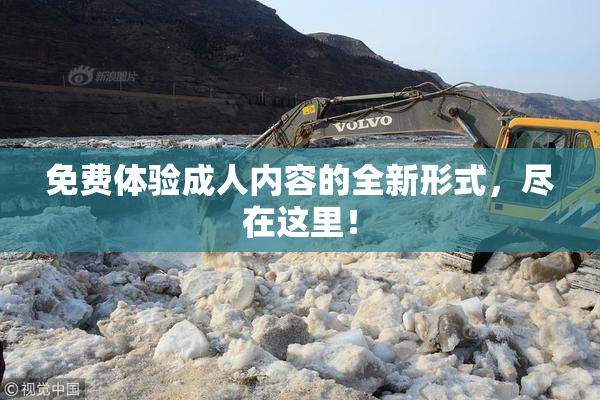 免费体验成人内容的全新形式，尽在这里！