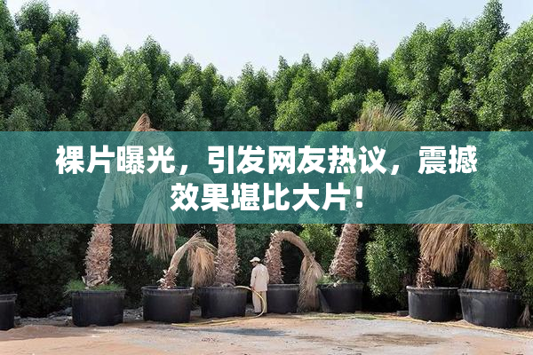 裸片曝光，引发网友热议，震撼效果堪比大片！