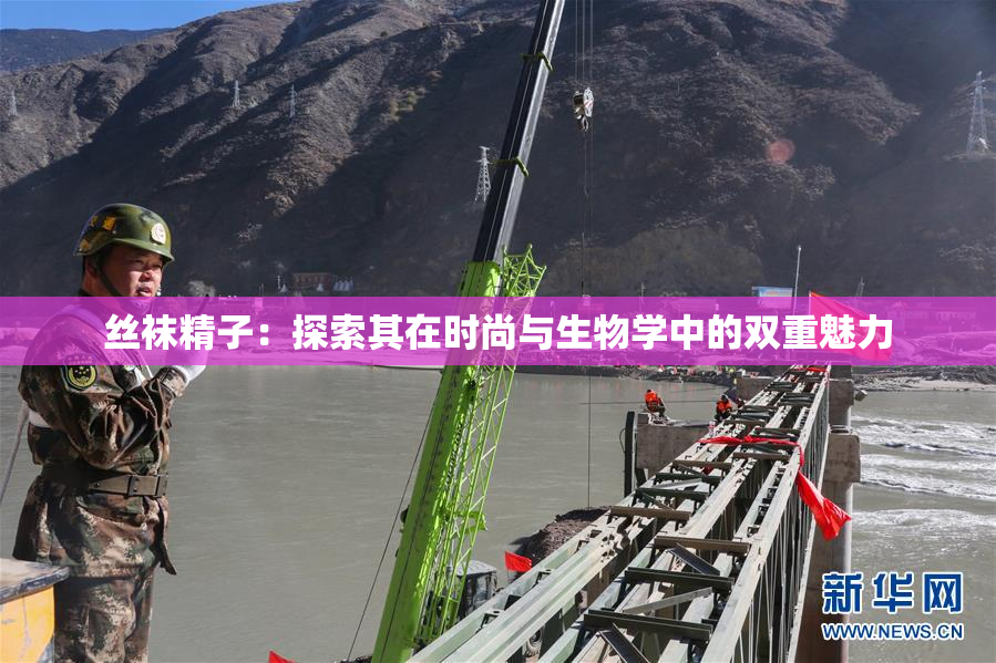 丝袜精子：探索其在时尚与生物学中的双重魅力