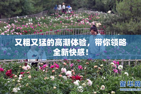 又粗又猛的高潮体验，带你领略全新快感！