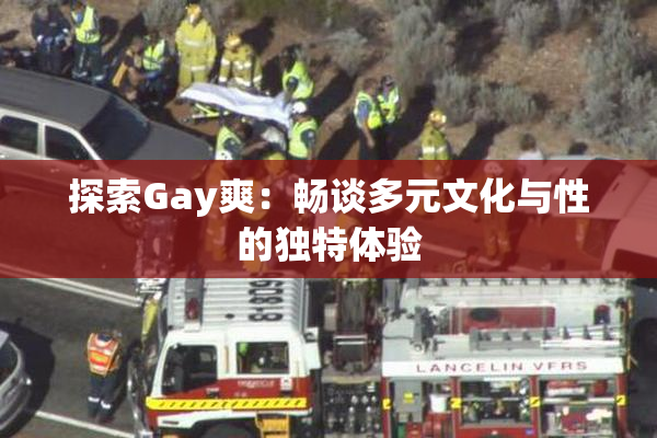 探索Gay爽：畅谈多元文化与性的独特体验