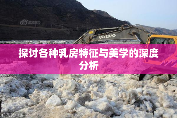 探讨各种乳房特征与美学的深度分析