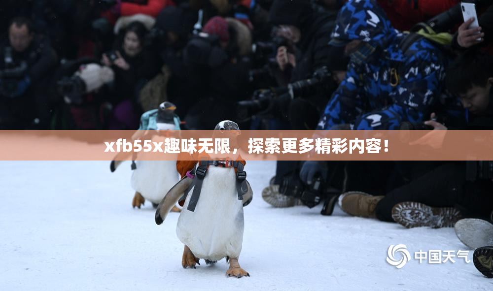 xfb55x趣味无限，探索更多精彩内容！
