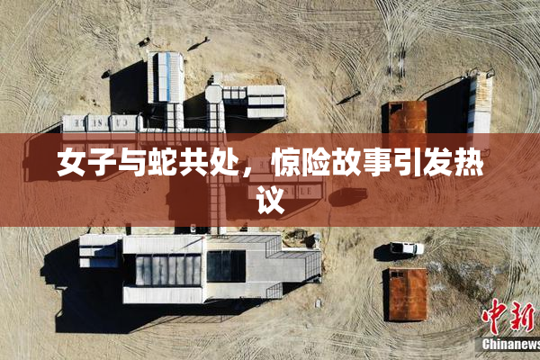 女子与蛇共处，惊险故事引发热议