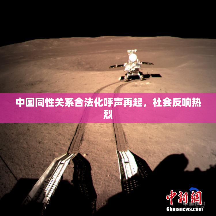中国同性关系合法化呼声再起，社会反响热烈