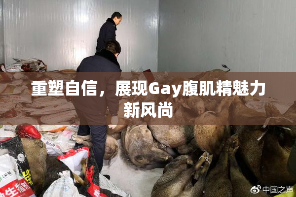 重塑自信，展现Gay腹肌精魅力新风尚