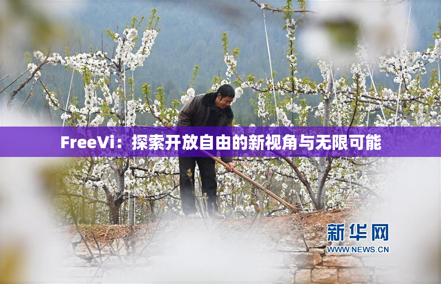 FreeVi：探索开放自由的新视角与无限可能