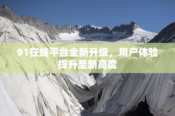 91在线平台全新升级，用户体验提升至新高度