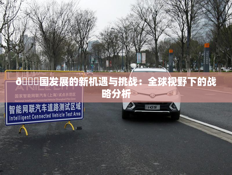 🔞国发展的新机遇与挑战：全球视野下的战略分析