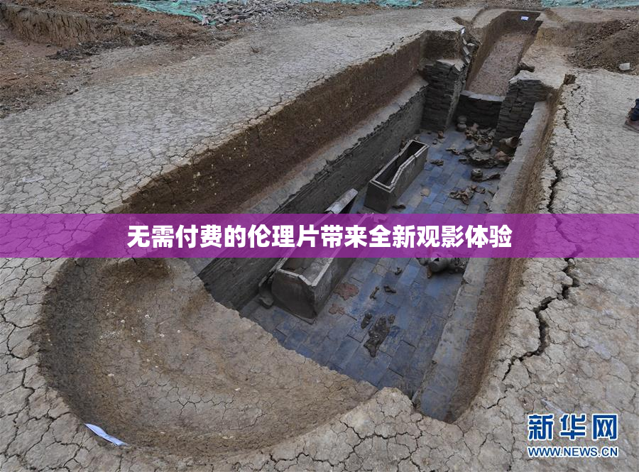 无需付费的伦理片带来全新观影体验
