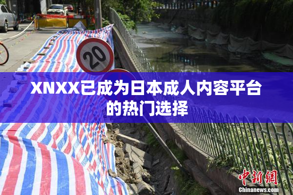 XNXX已成为日本成人内容平台的热门选择