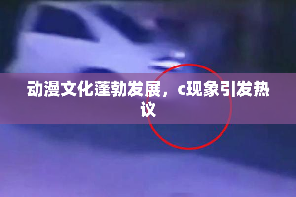 动漫文化蓬勃发展，c现象引发热议