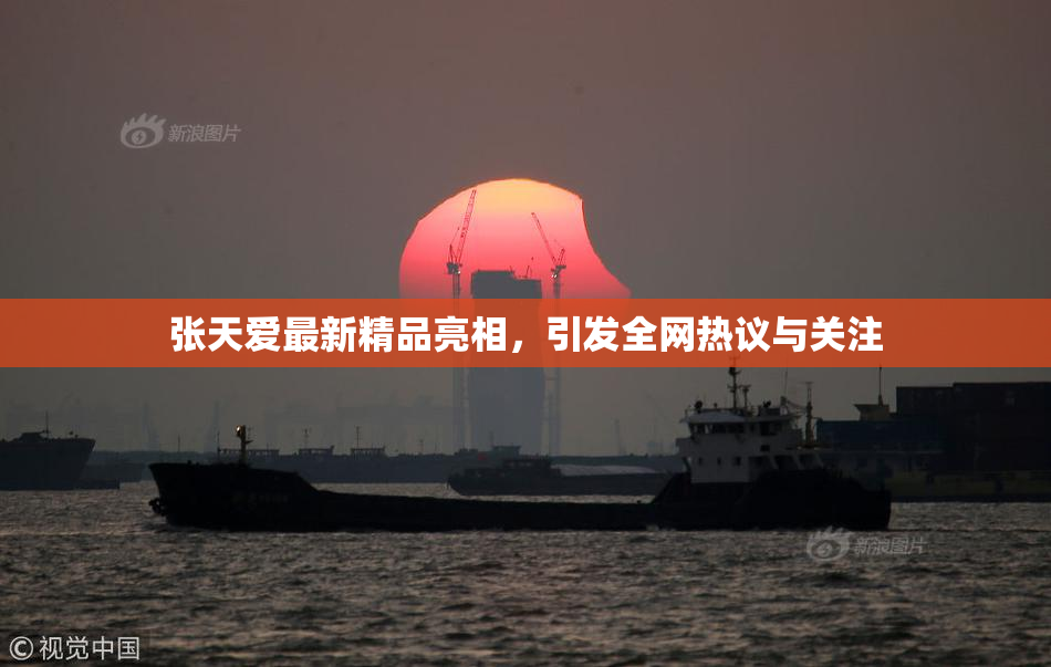 张天爱最新精品亮相，引发全网热议与关注