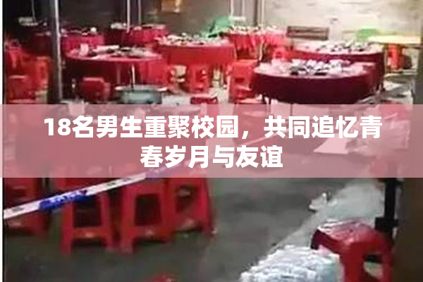18名男生重聚校园，共同追忆青春岁月与友谊