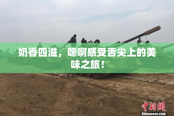 奶香四溢，嗯啊感受舌尖上的美味之旅！