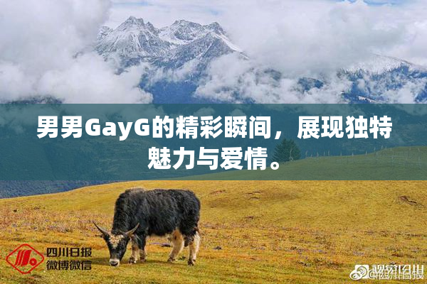 男男GayG的精彩瞬间，展现独特魅力与爱情。